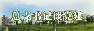 总支书记谈党建